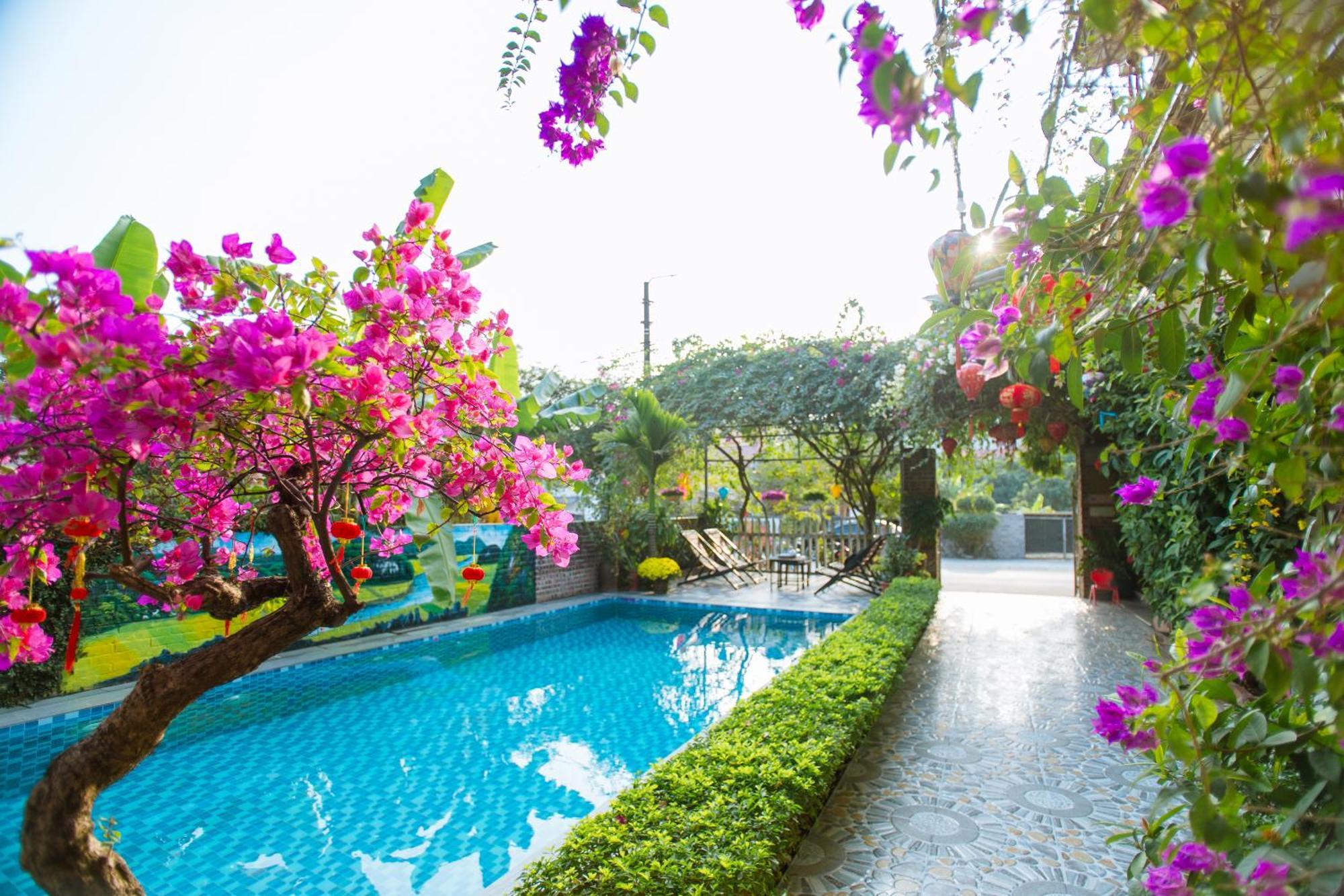 Tam Coc Viet Ha Homestay نينه بينه المظهر الخارجي الصورة