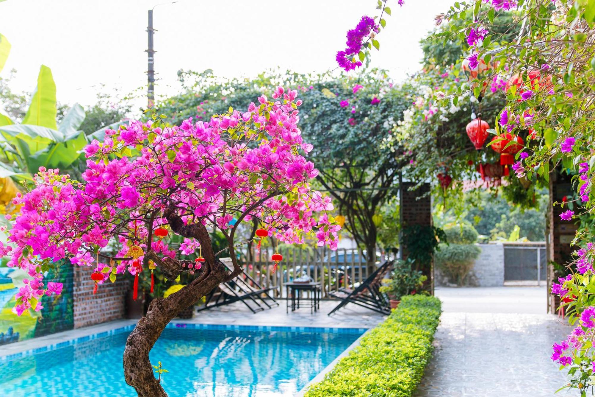 Tam Coc Viet Ha Homestay نينه بينه المظهر الخارجي الصورة